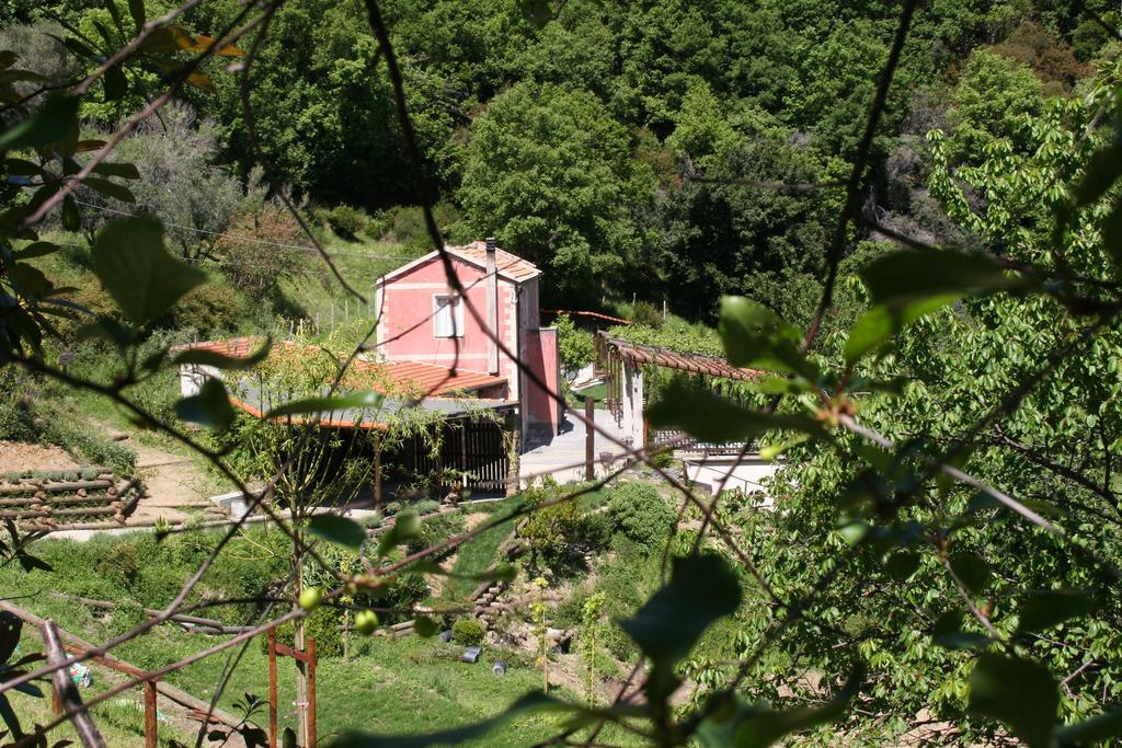 Agriturismo Gocce Di Luna チェッレ・リーグレ エクステリア 写真