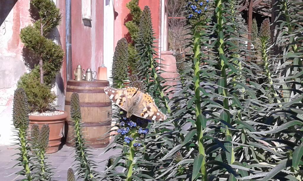 Agriturismo Gocce Di Luna チェッレ・リーグレ エクステリア 写真