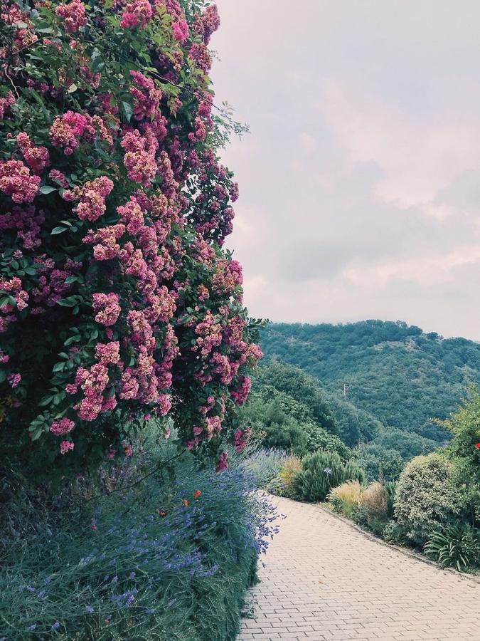 Agriturismo Gocce Di Luna チェッレ・リーグレ エクステリア 写真